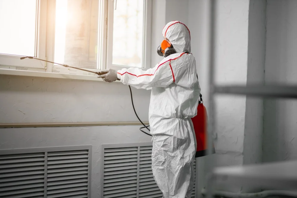 Professional mold remediation services in Burt, MI